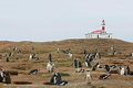 Parque NAcional Isla Magdalena