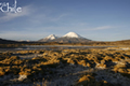 Parque Nacional Lauca
