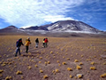 Parque Nacional Llallaillaco