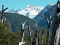 Parque Nacional Queulat